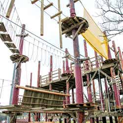 スカイジャングル/画像提供:ネスタリゾート神戸