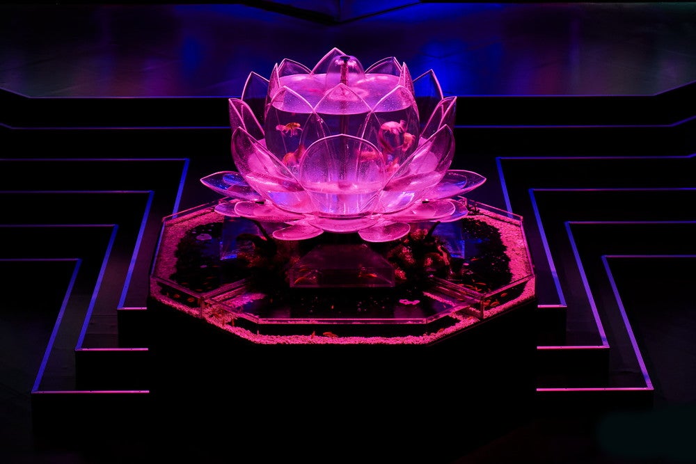 ロータスリウム／画像提供：アートアクアリウム展大阪実行委員会