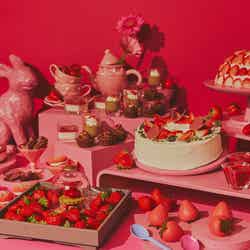 ストロベリーアフタヌーンスイーツビュッフェ ~ときめきいちご狩り~/提供画像