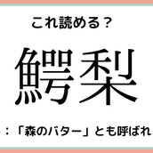 難読漢字 鯣烏賊 お酒のおつまみで有名なもの モデルプレス 難読漢字 鯣烏賊 お酒のおつまみで有名なもの モデルプレス