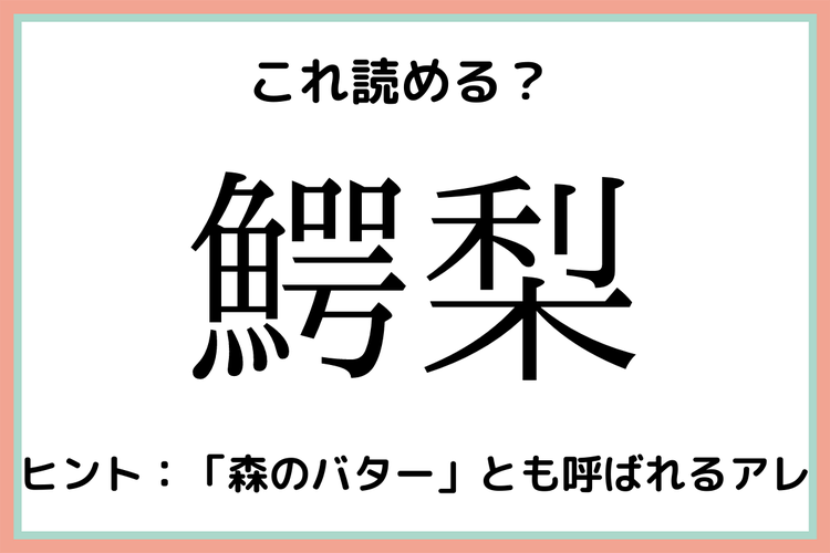 鰐梨 って何て読む 実はあの野菜 意外と読めない 難読漢字 4選 モデルプレス 鰐梨 って何て読む 実はあの野菜 意外と読めない 難読漢字 4選 モデルプレス