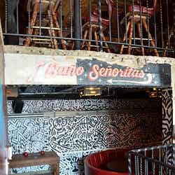 隠れたスペースで楽しむことも