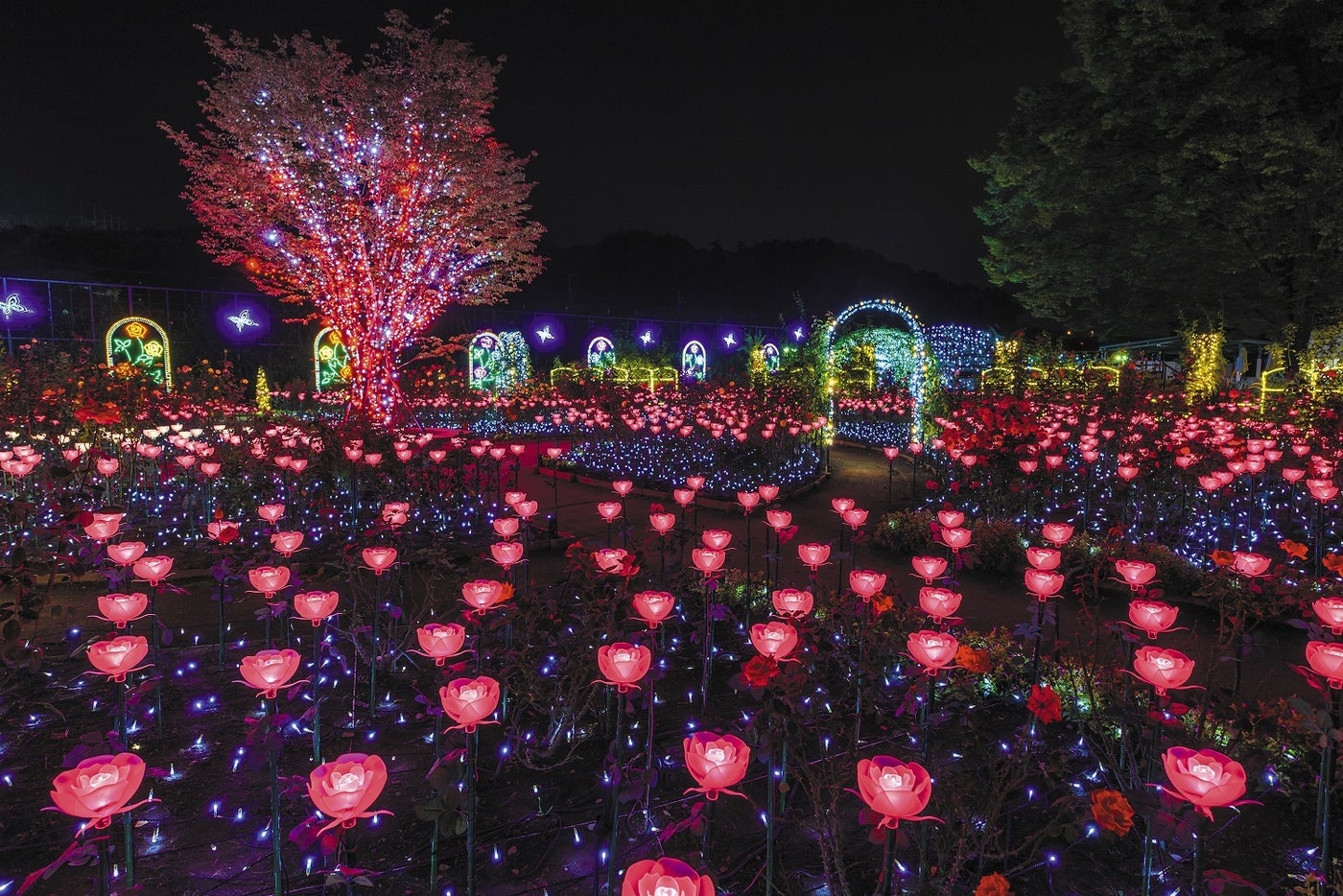 あしかがフラワーパーク「光の花の庭」栃木県足利市／画像提供：ぴあ