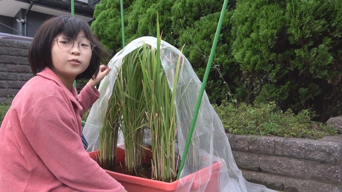 ひかりさん(C)NHK