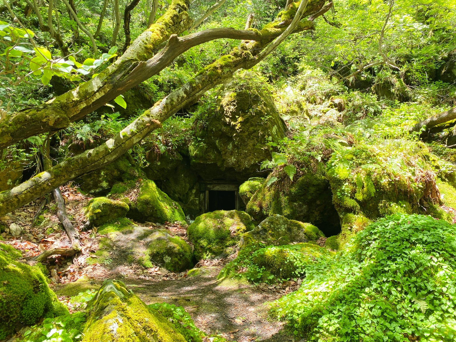 ハイキング（C）草津温泉観光協会