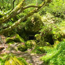 ハイキング(C)草津温泉観光協会