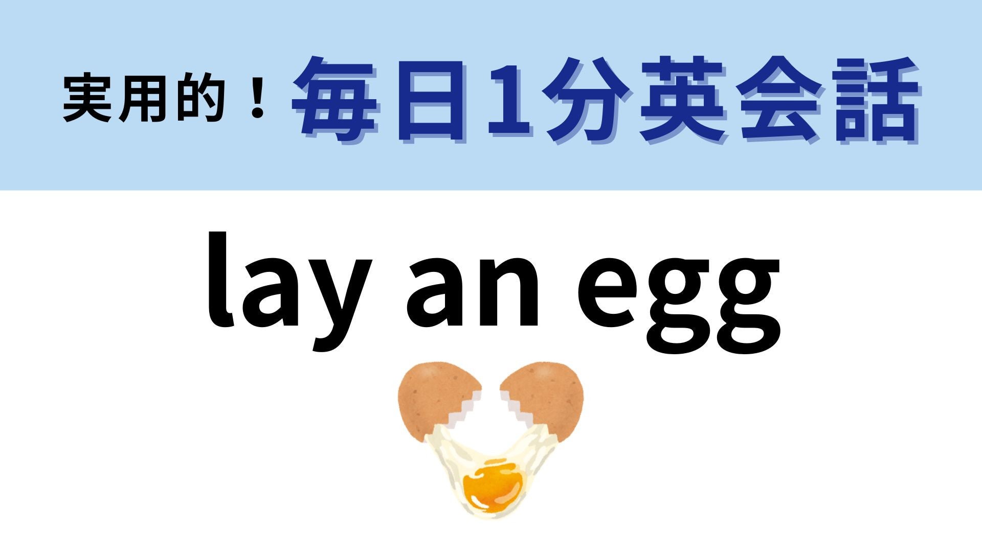 「lay an egg」の意味は？「卵を産む」以外にも意味があります…！【1分英会話】