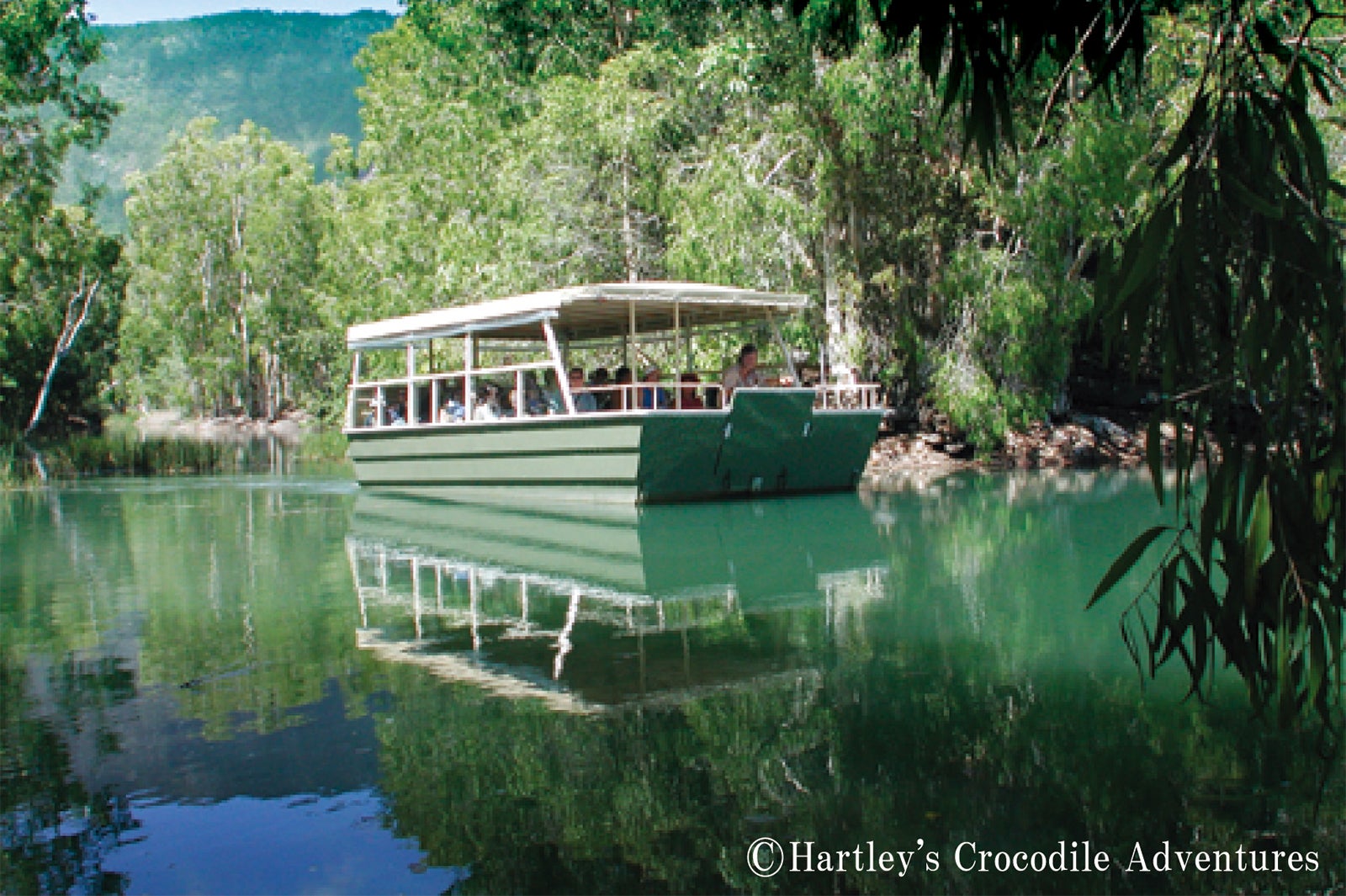 ハートリースアドベンチャーズ（C）Hartley’s Adventures