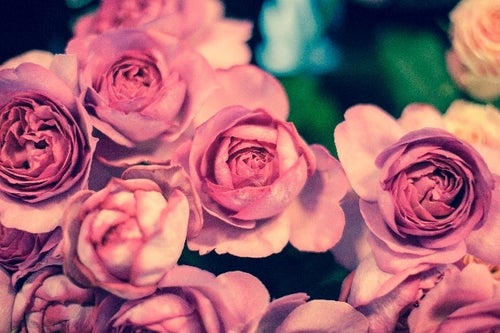 ヒロミ ダチョウ倶楽部おでん芸 南キャン山里の人間性検証企画など 前略 月の上から 正月spを放送決定 モデルプレス