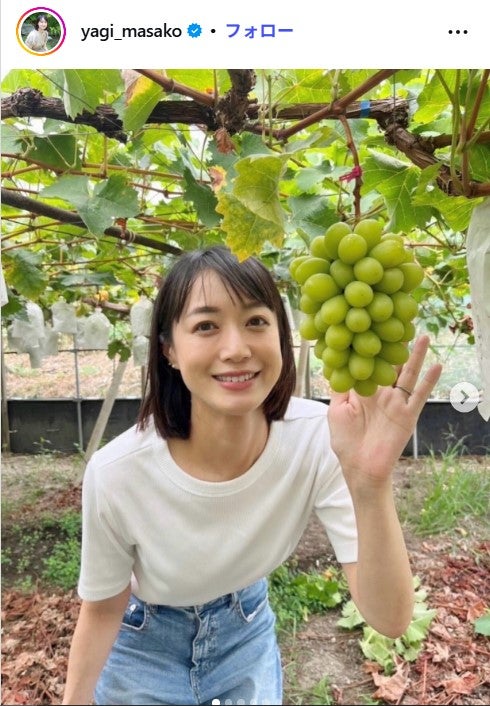 2児の母・テレ朝 八木麻紗子アナ、子どもの遠足弁当のための唐揚げ披露「朝からすごい」「絶対に喜ぶやつ」と反響
