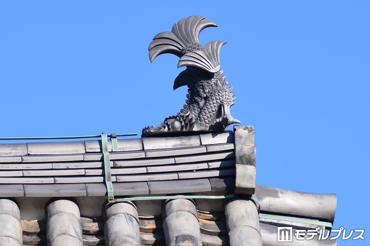 東光寺(C)モデルプレス