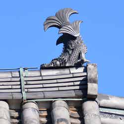 東光寺(C)モデルプレス