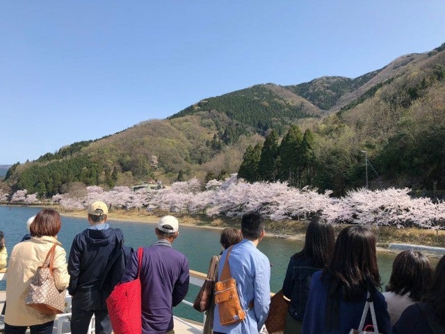 日本さくら名所100選の絶景が楽しめる♡ 期間限定の「お花見船」がすごそう…