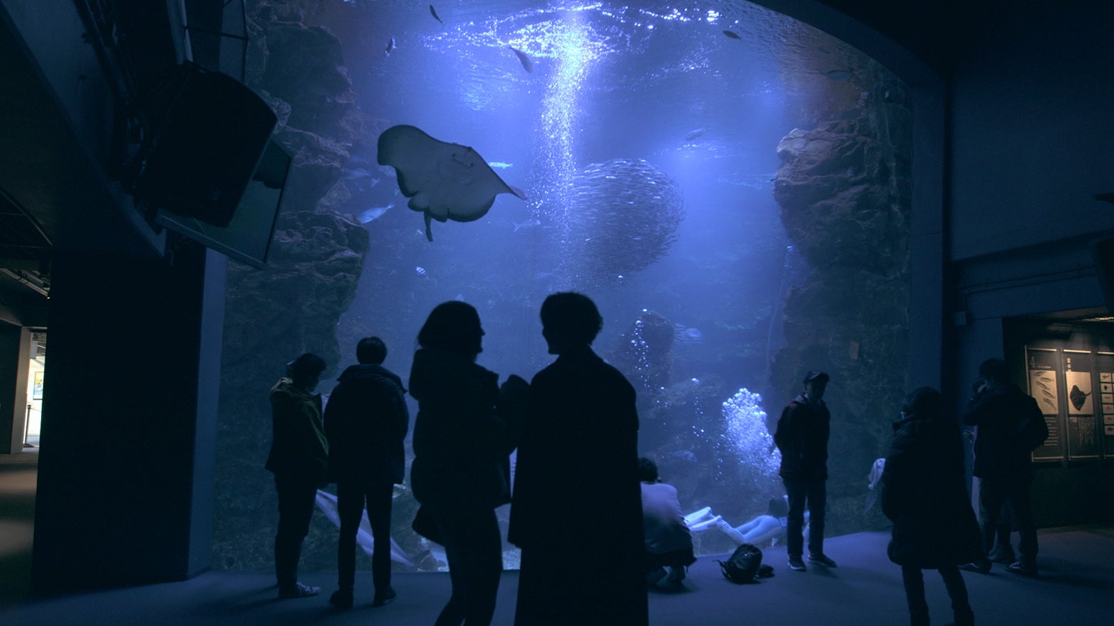 夢、俊幸「TERRACE HOUSE TOKYO 2019-2020」37th WEEK（C）フジテレビ／イースト・エンタテインメント