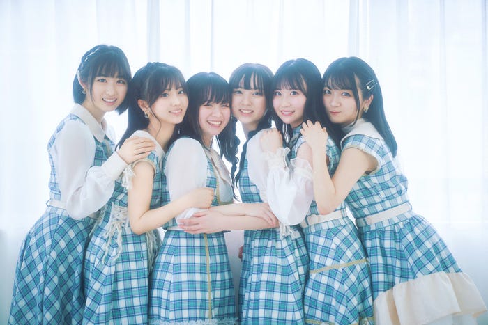 かすみ草とステラ(提供写真)