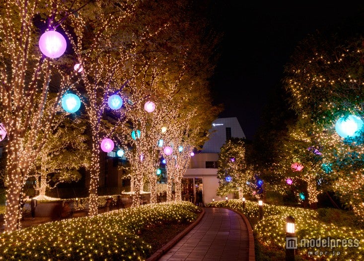 新宿サザンテラス小道（マカロンglobe の森）（イメージ）／画像提供：新宿テラスシティ
