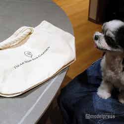 Dear Wan Spa Garden(C)モデルプレス