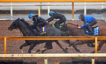 【宝塚記念】クロワデュノール 大雨ものともせず力強い走り披露 斉藤崇師「これでスイッチが入ると思う」