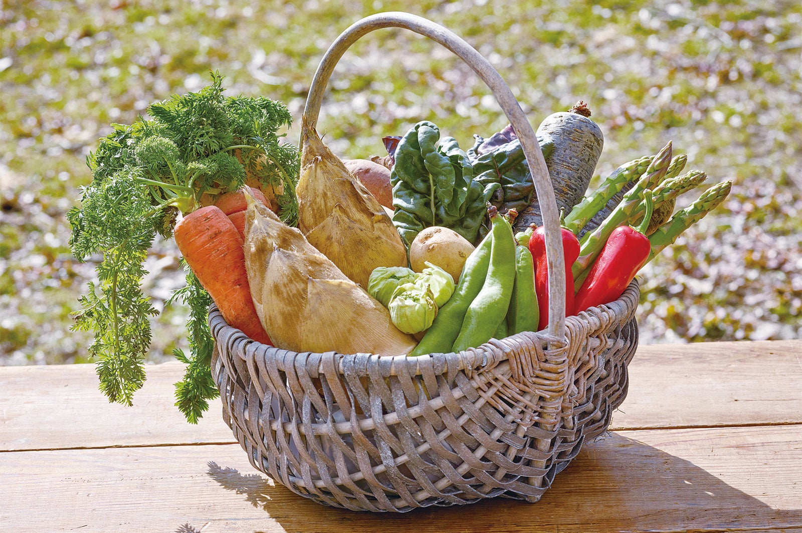 収穫したての野菜／画像提供：白ハト食品工業