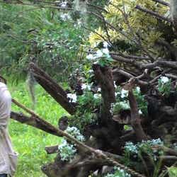 宮崎あおい/撮影メイキングショット