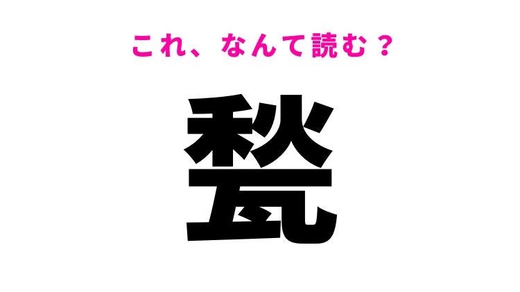 【甃】はなんて読む？1度は見たことがあるものを指す言葉！