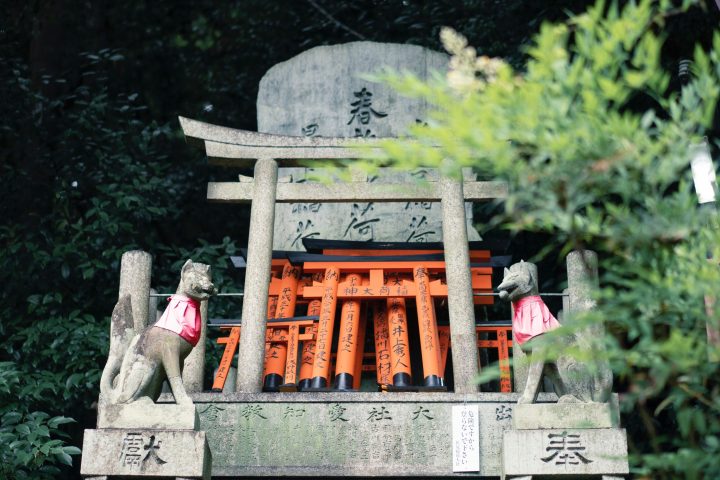 縁起のいい言葉ってどんなものがある おめでたい四字熟語やことわざなどをご紹介 モデルプレス 縁起のいい言葉ってどんなものがある おめでたい四字熟語やことわざなどをご紹介 モデルプレス