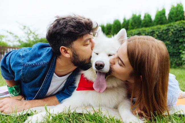 女子人気は抜群！彼女を大切にする犬系男子の性格と行動とは