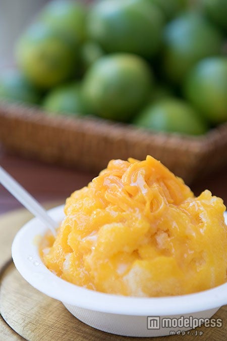 スノーアイスマイヤーレモン味（6,50ドル）／Photo by 内田恒（Hisashi Uchida）