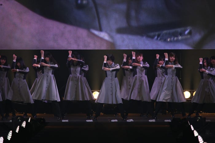 欅坂46(提供写真)