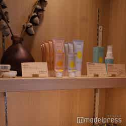 ノゾホテル(C)モデルプレス