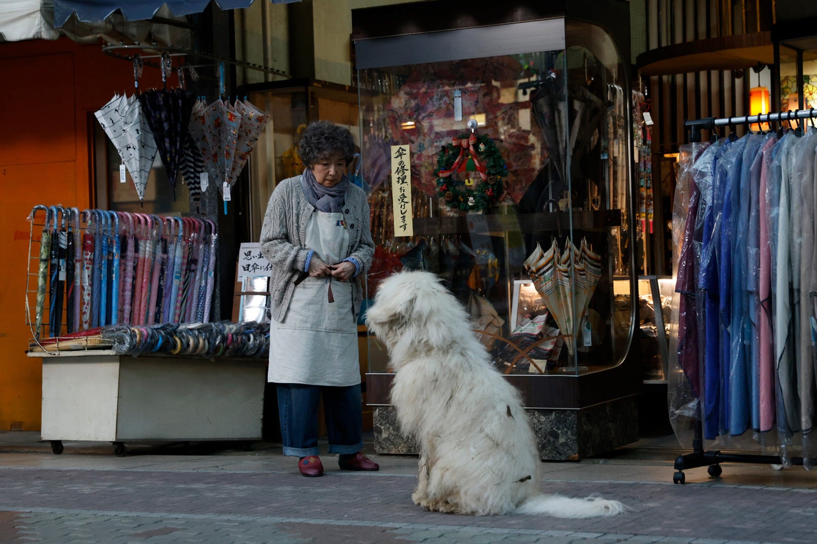 宮本信子、ハウ（C）2022「ハウ」製作委員会