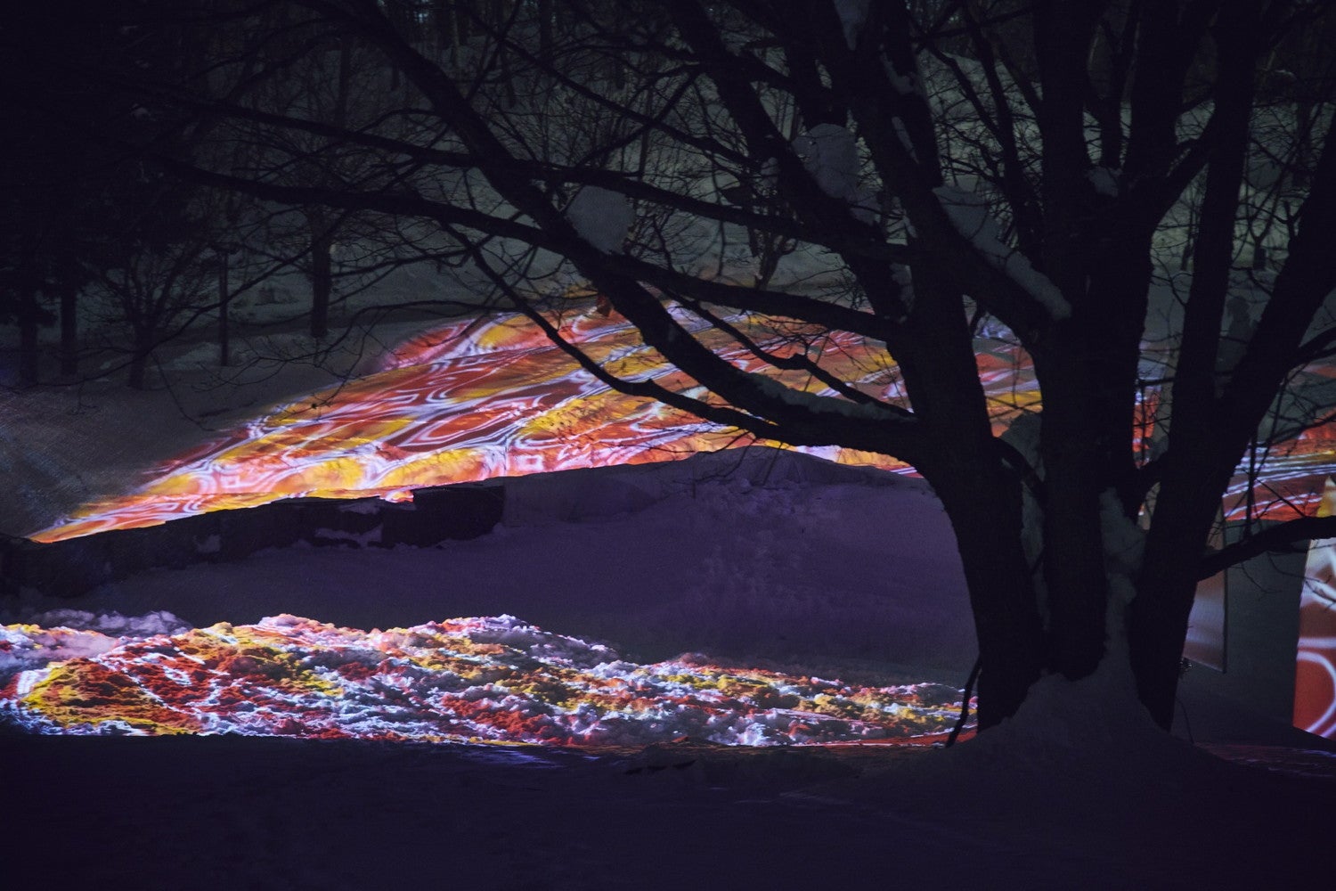 SAPPORO ART CAMP 2023／提供画像