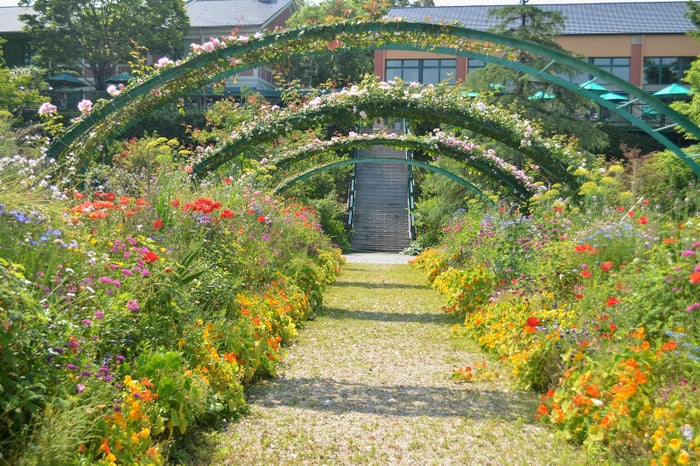 「モネの庭」花の庭/提供写真