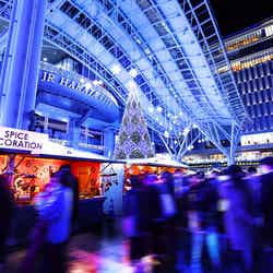 福岡クリスマスマーケット/画像提供:Mr.Weihnachtsmann