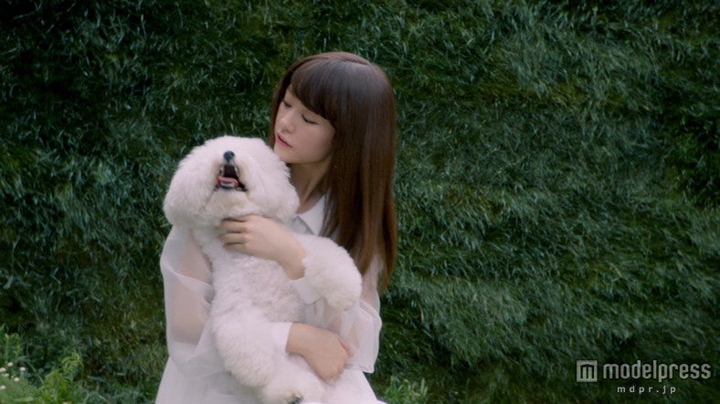 桐谷美玲／新CM「モフモフ」篇