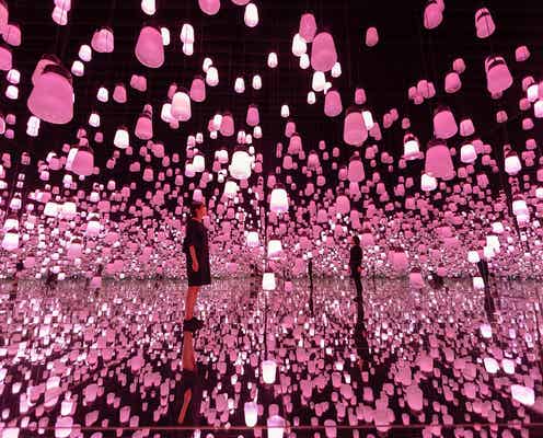 お台場「チームラボ ボーダレス」春限定ランプの森が美しい!桜色の輝きで魅了