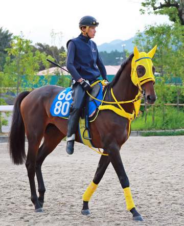 【京都大賞典】ヴェルテンベルク 秋初戦から全開 1週前栗東CW自己ベスト 指揮官「スタミナがある」