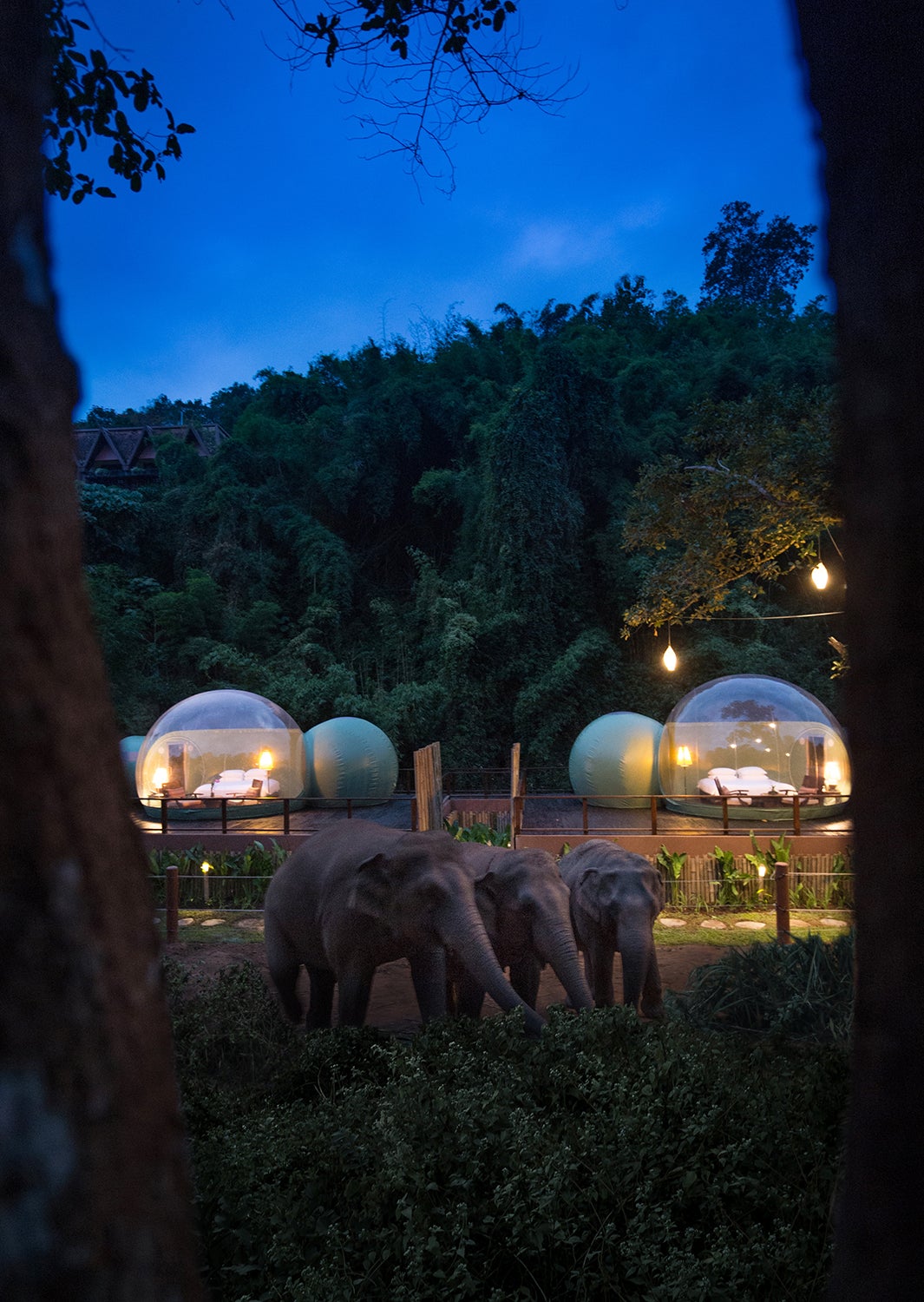 「ジャングルバブル（Jungle Bubble）」／画像提供：Anantara