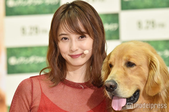 佐々木希 運命の出会いを語る 愛犬 マロン と登場 僕のワンダフル ライフ モデルプレス