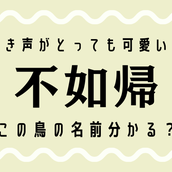 男 と 女 でできてるこの漢字 嬲る 読める人いる モデルプレス 男 と 女 でできてるこの漢字 嬲る 読める人いる モデルプレス