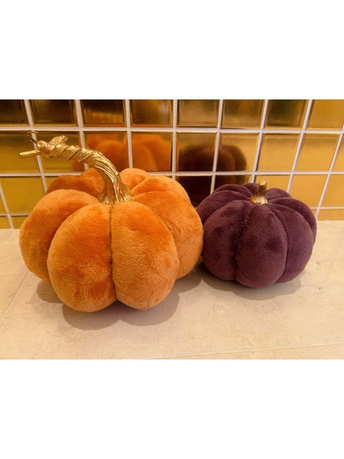 安めぐみオフィシャルブログより