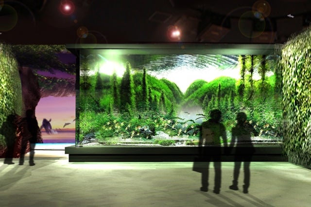 DMMかりゆし水族館／画像提供：DMM.com