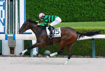 【新馬戦】ワンスフォーユー 2秒5の大差で圧勝デビュー 田山「調教に乗せてもらった時から動けるとは思っていました」