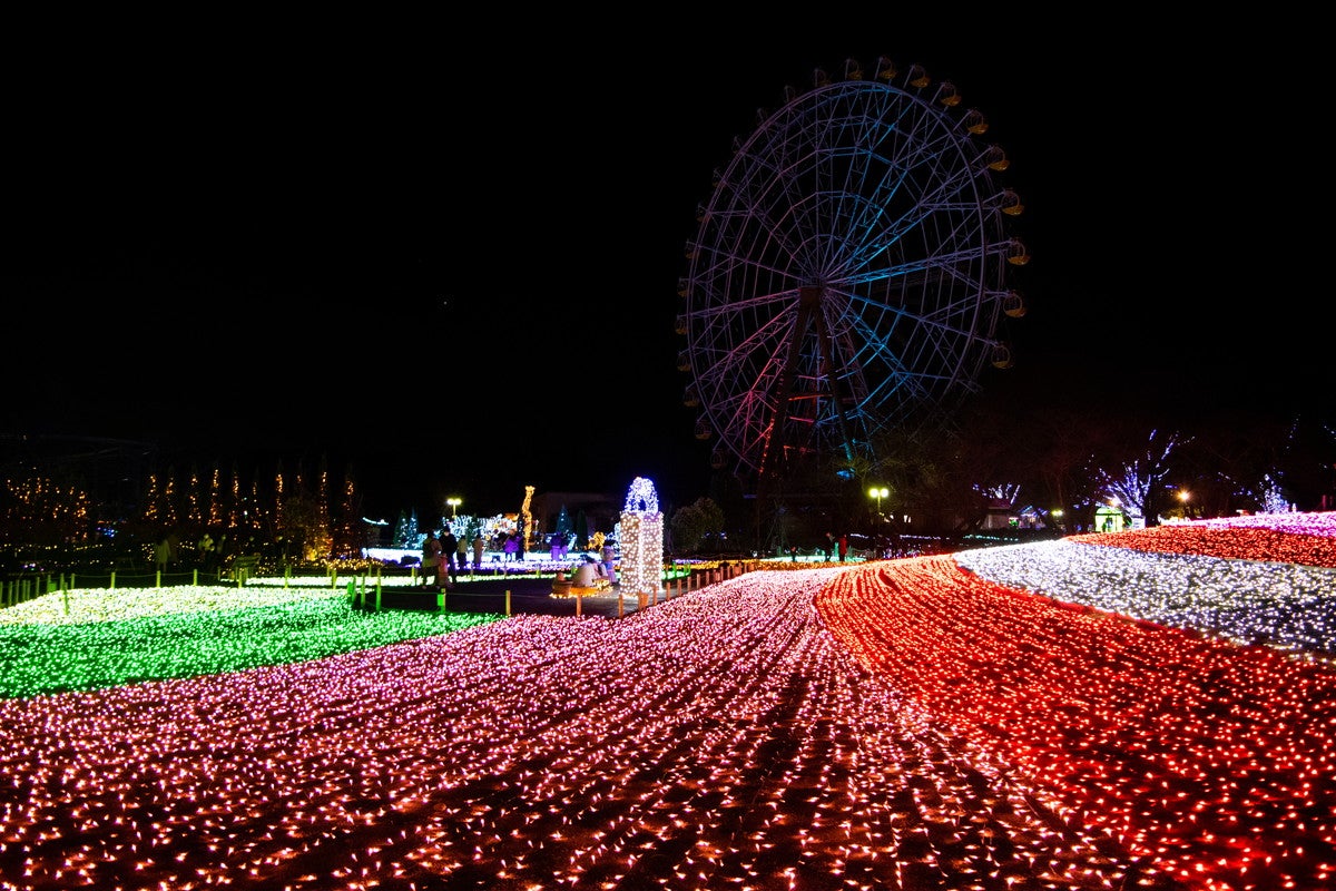ウインターイルミネーション／画像提供：東武動物公園