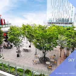 CE LA VI SKY MUSIC TERRACE(提供画像)