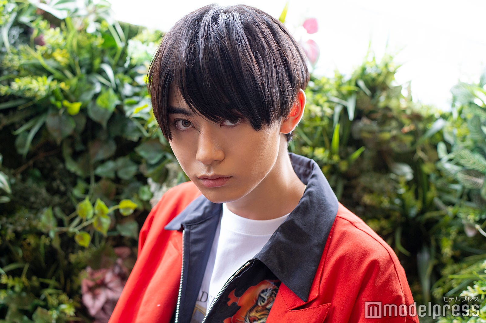 豊田裕大（C）モデルプレス