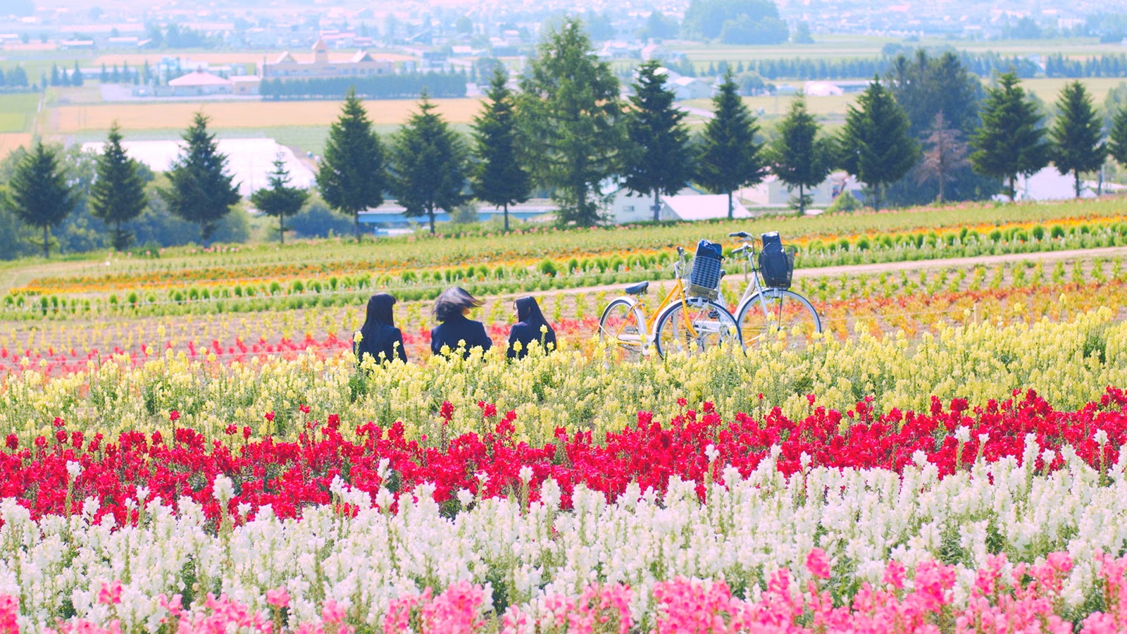 2006年（デビュー）AKB48「サステナブル」MV（C）AKS／キングレコード