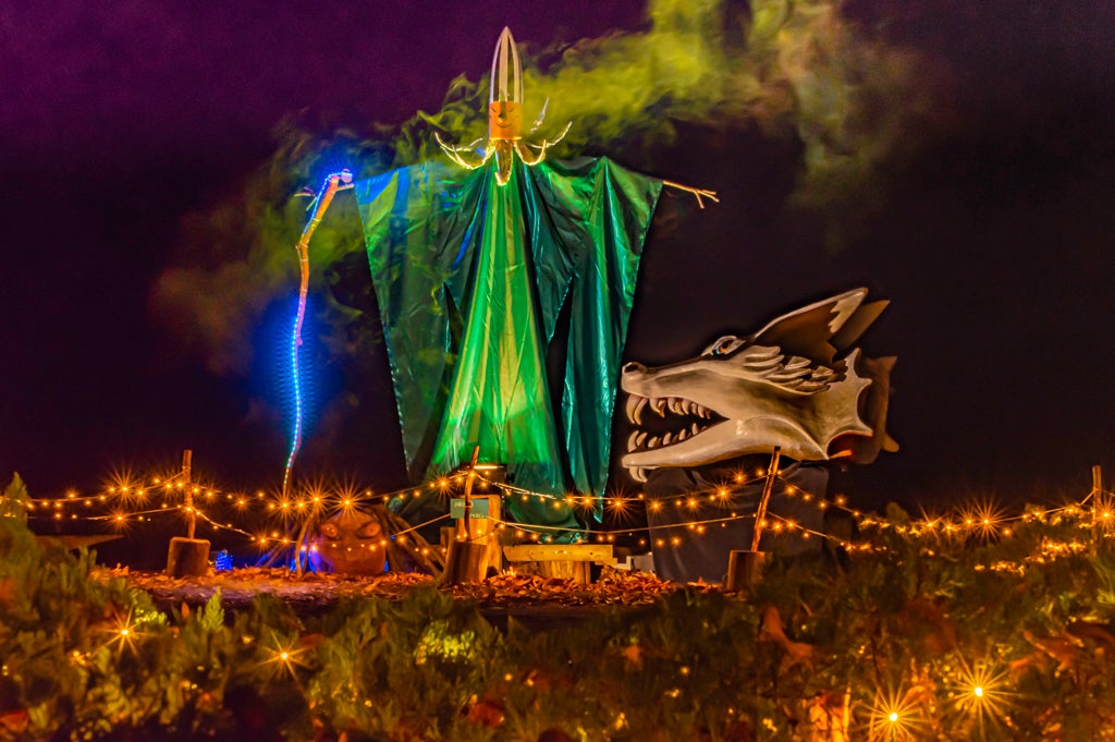 アートイルミネーションとフィールドラリー ※2020年の様子（撮影：丹地敏明）