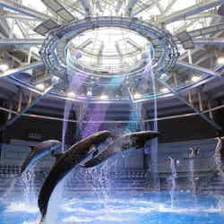 「HAPPY HOLIDAY」※イメージ/画像提供:横浜・八景島