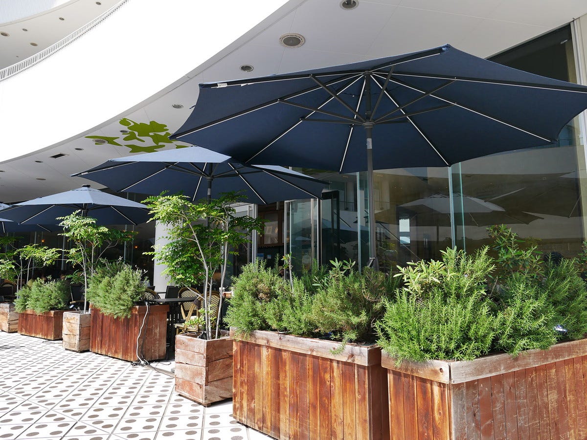 テラス席はすべてペット可